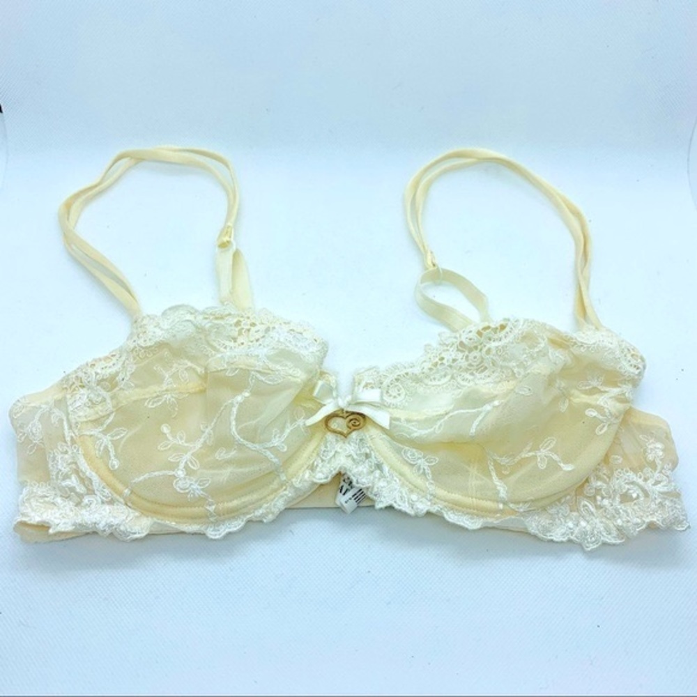 Lise Charmel Bra French Lingerie Embroidered Demi